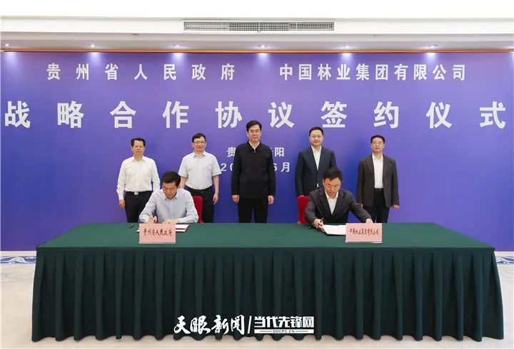 1655277999111732.jpg 图片